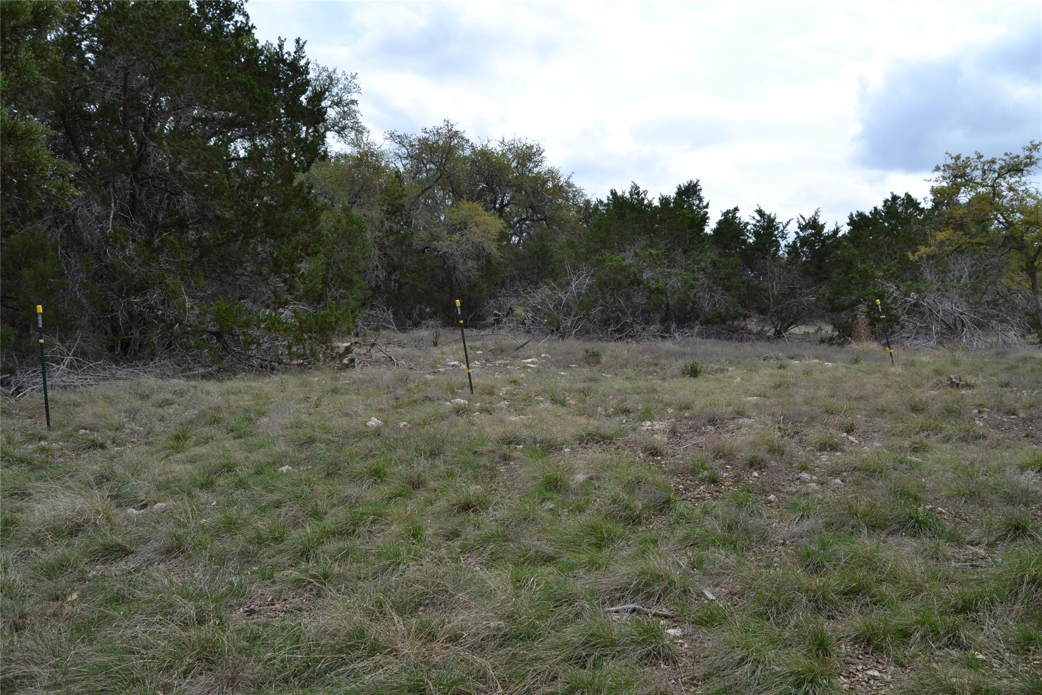 4016 Mcgregor Lane Dripping Springs TX 78620