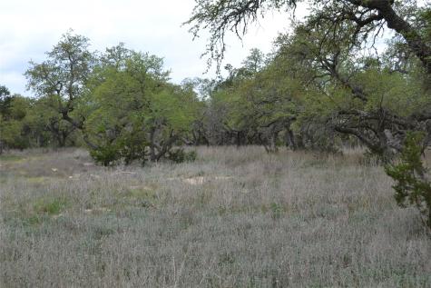 4016 Mcgregor Lane Dripping Springs TX 78620