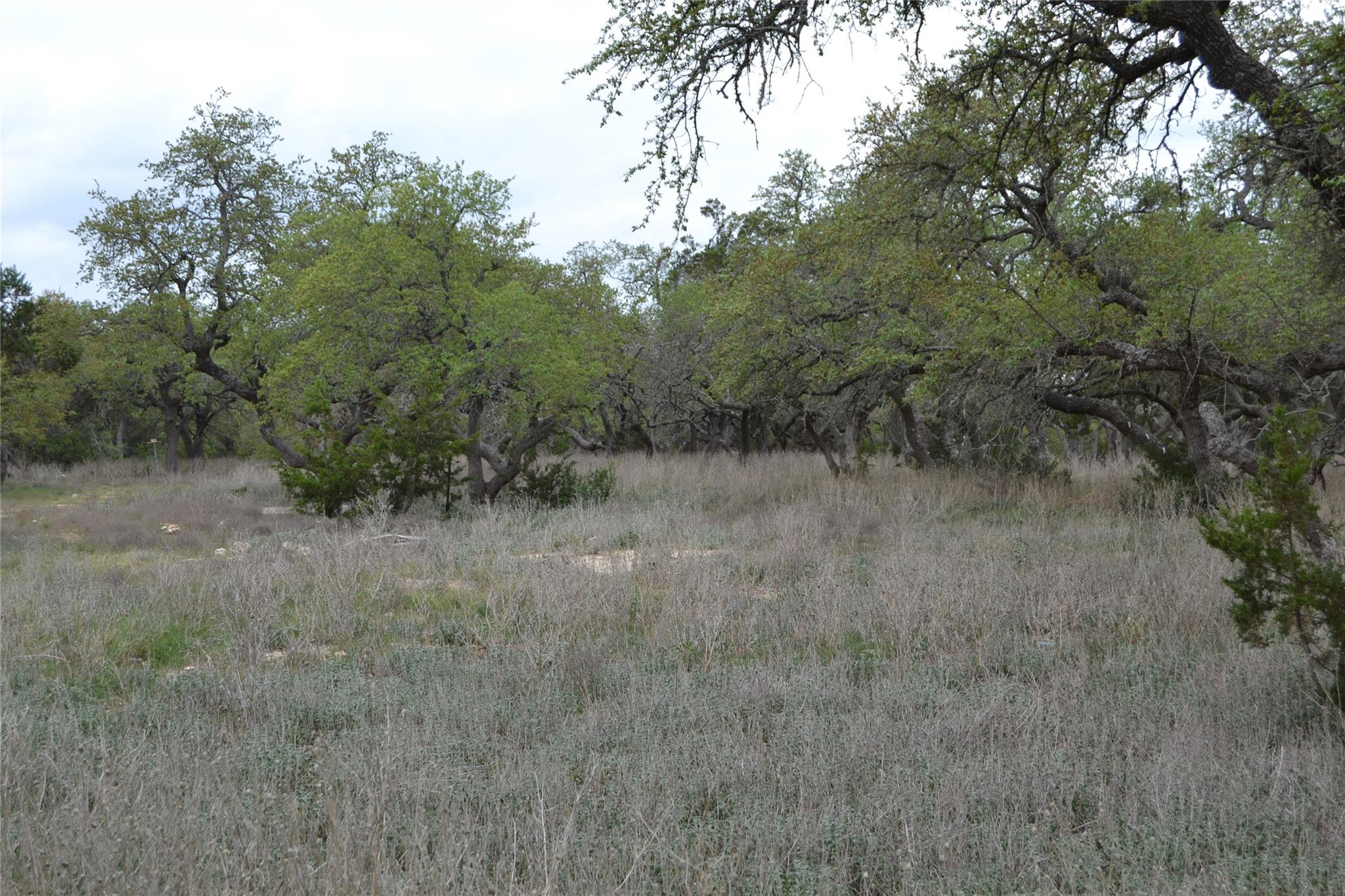 4016 Mcgregor Lane Dripping Springs TX 78620