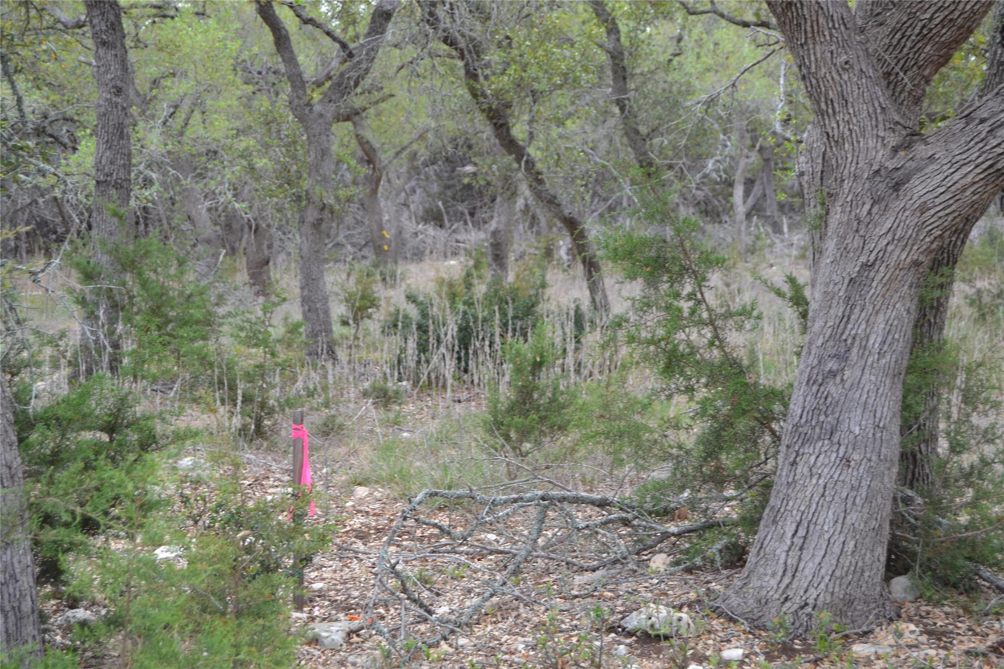 4016 Mcgregor Lane Dripping Springs TX 78620