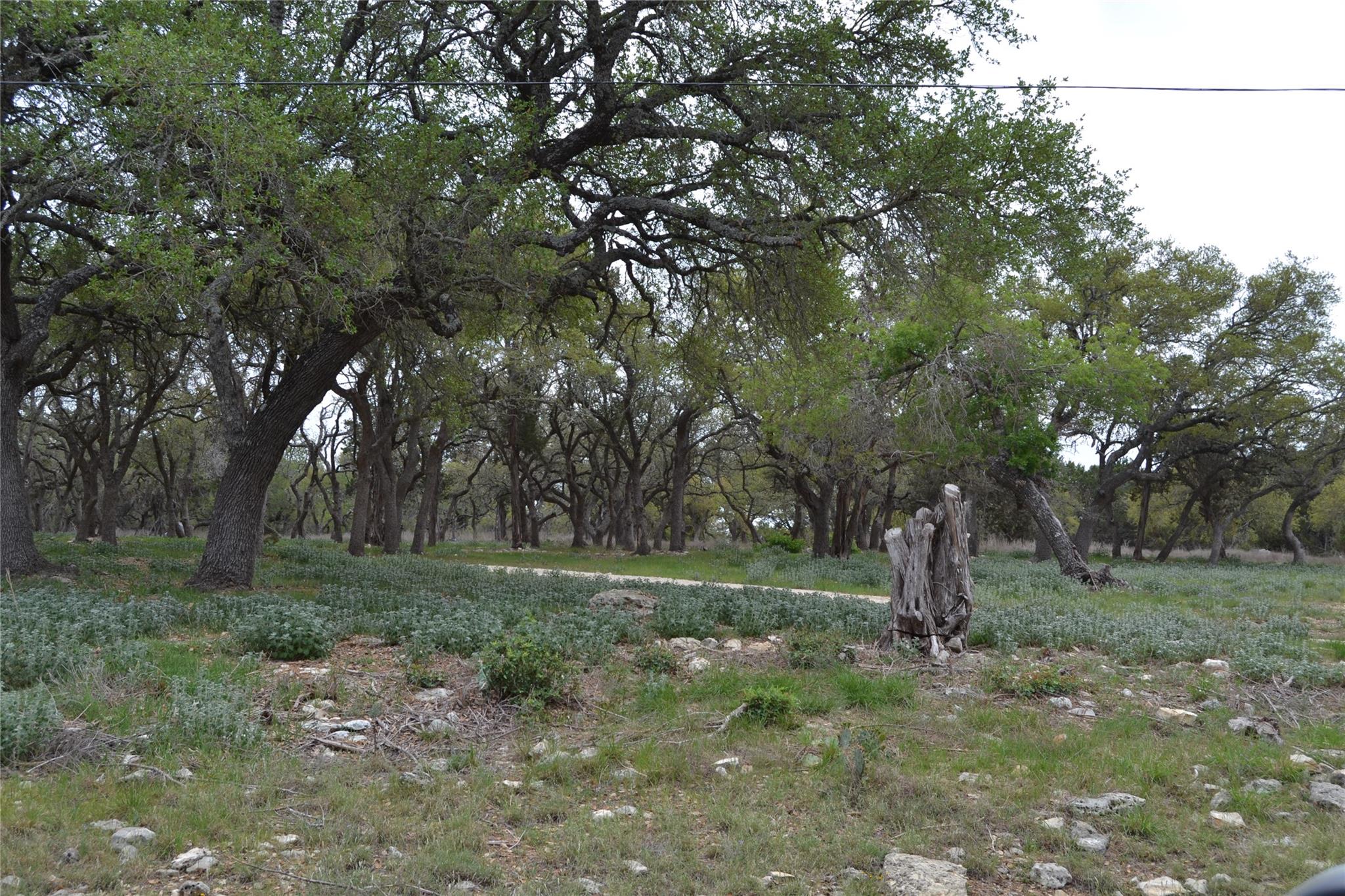 4016 Mcgregor Lane Dripping Springs TX 78620