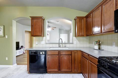 106 Wild Plum San Marcos TX 78666