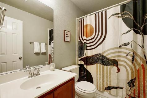 106 Wild Plum San Marcos TX 78666