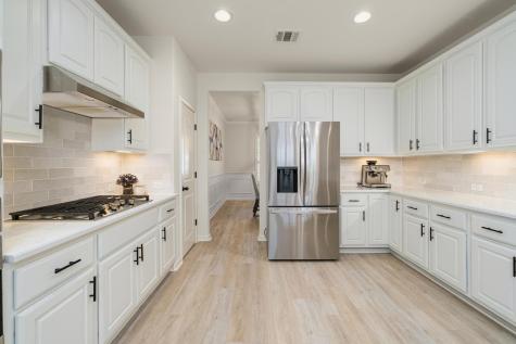 16000 Snowdonia Cove Bee Cave TX 78738