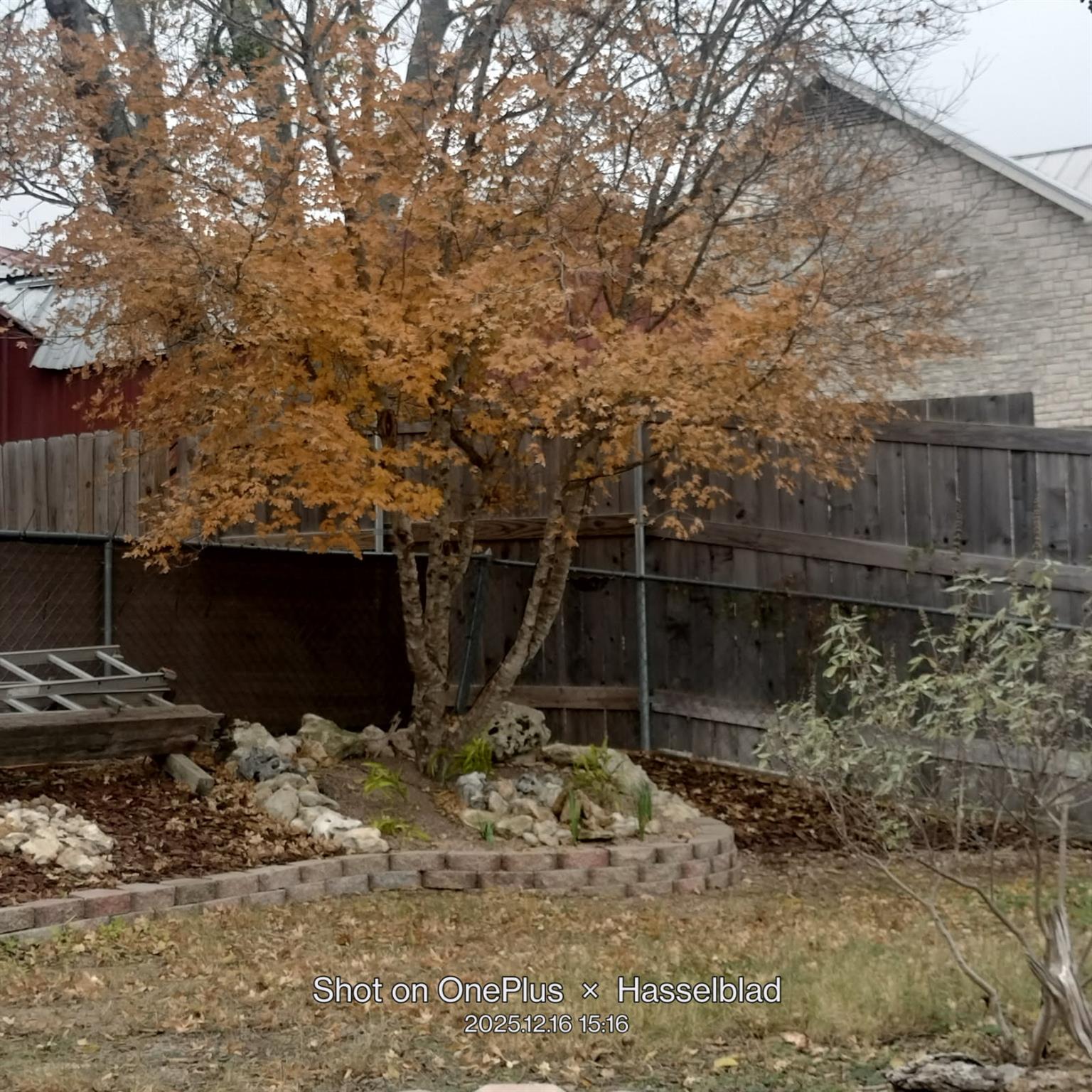 131 High Gabriel Drive Leander TX 78641