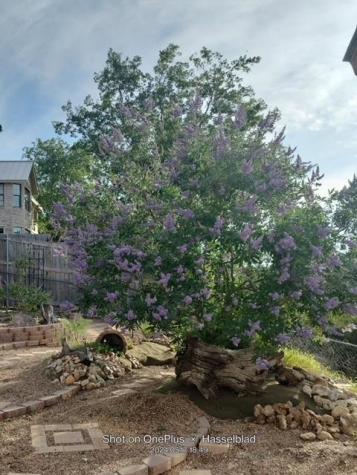 131 High Gabriel Drive Leander TX 78641