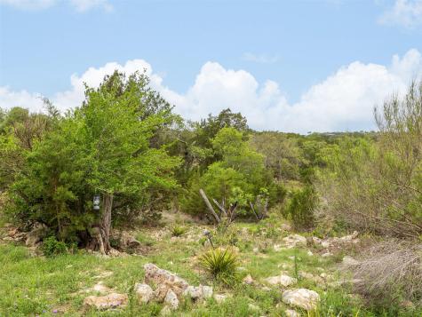 2591 Spring Valley Drive Dripping Springs TX 78620