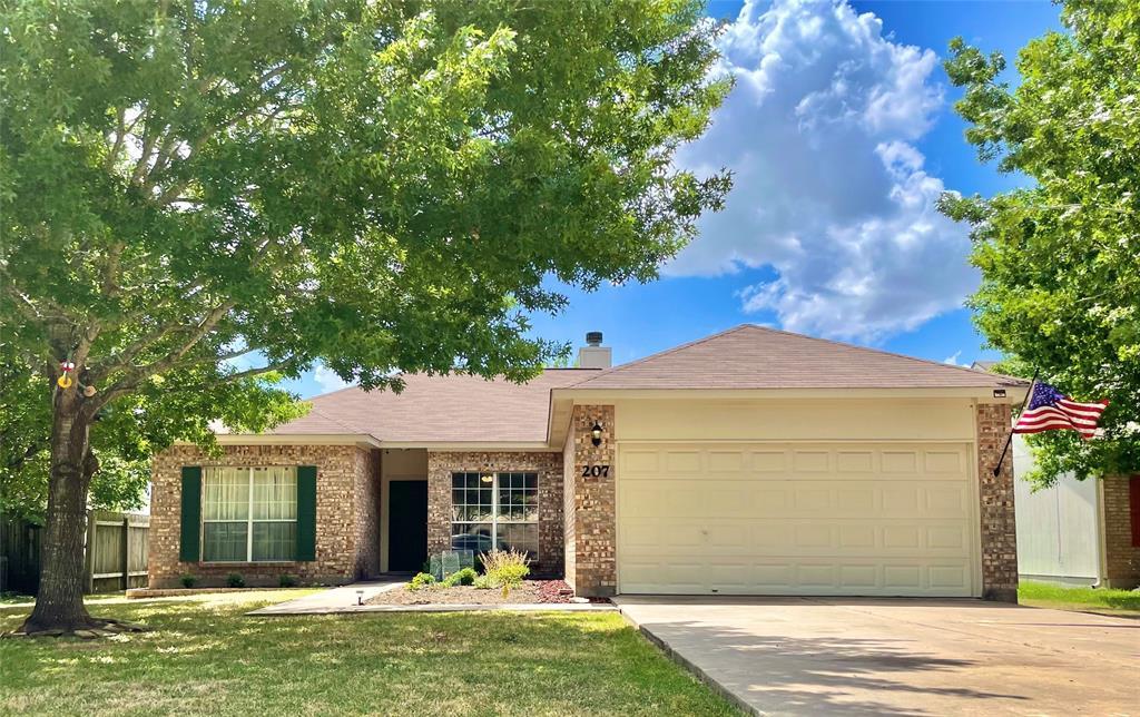 207 Kates Way Hutto TX 78634