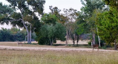 5801 Mount Gainor Road Dripping Springs TX 78620