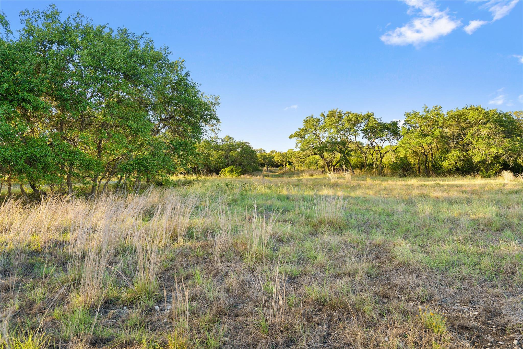 370 Gray Wolf Blanco TX 78606