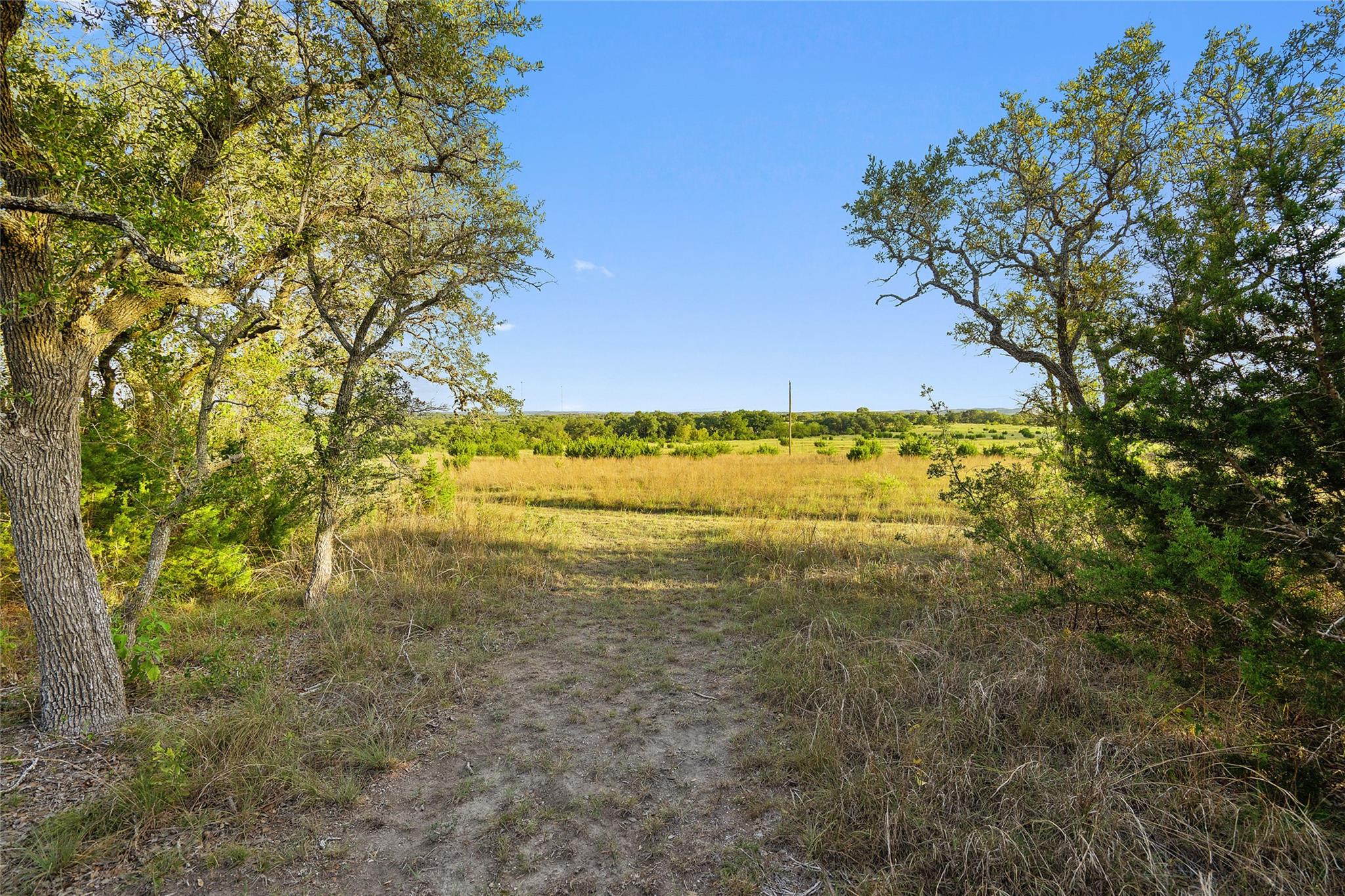 370 Gray Wolf Blanco TX 78606