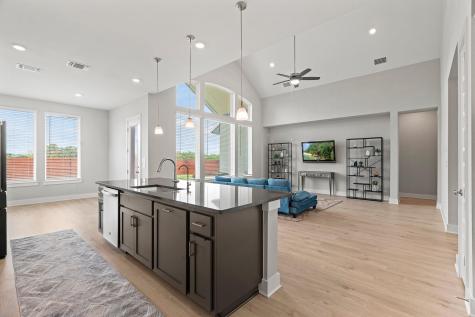 2112 Tobiano Trace Georgetown TX 78633