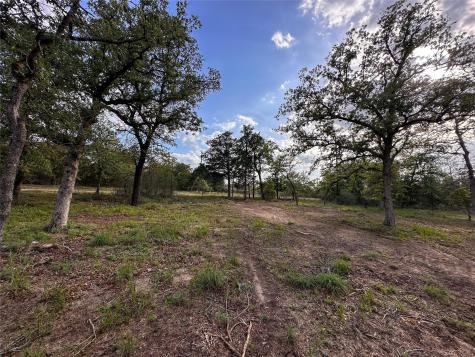 368 Woodlands Drive Bastrop TX 78602