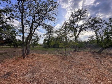 368 Woodlands Drive Bastrop TX 78602