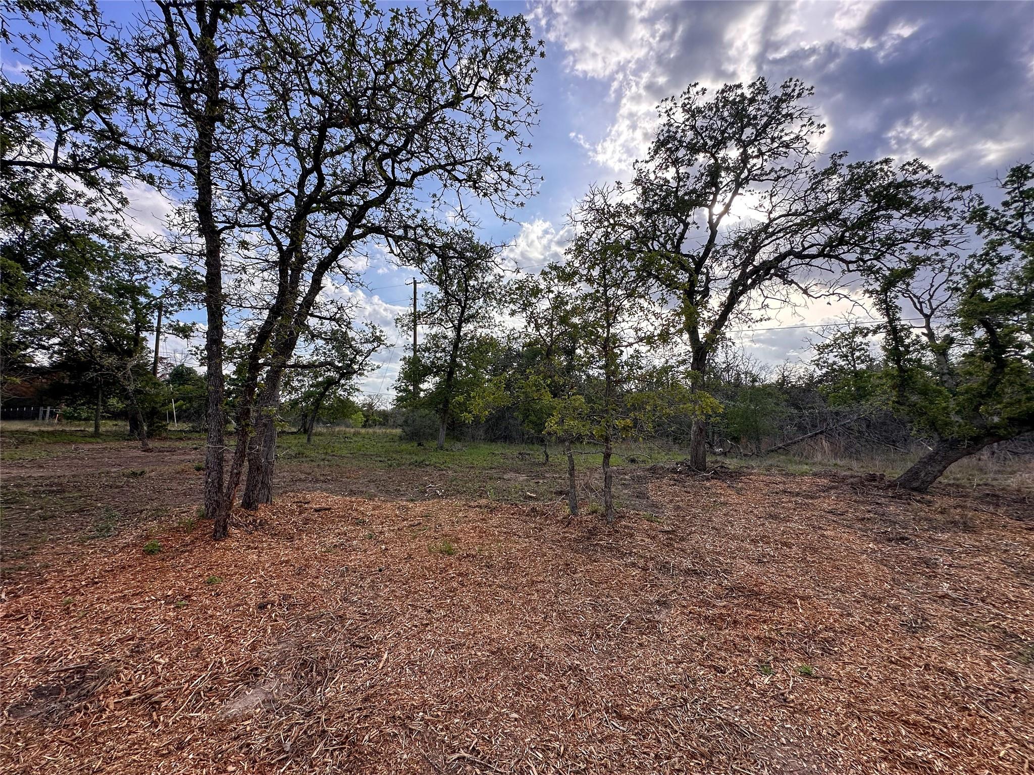 368 Woodlands Drive Bastrop TX 78602