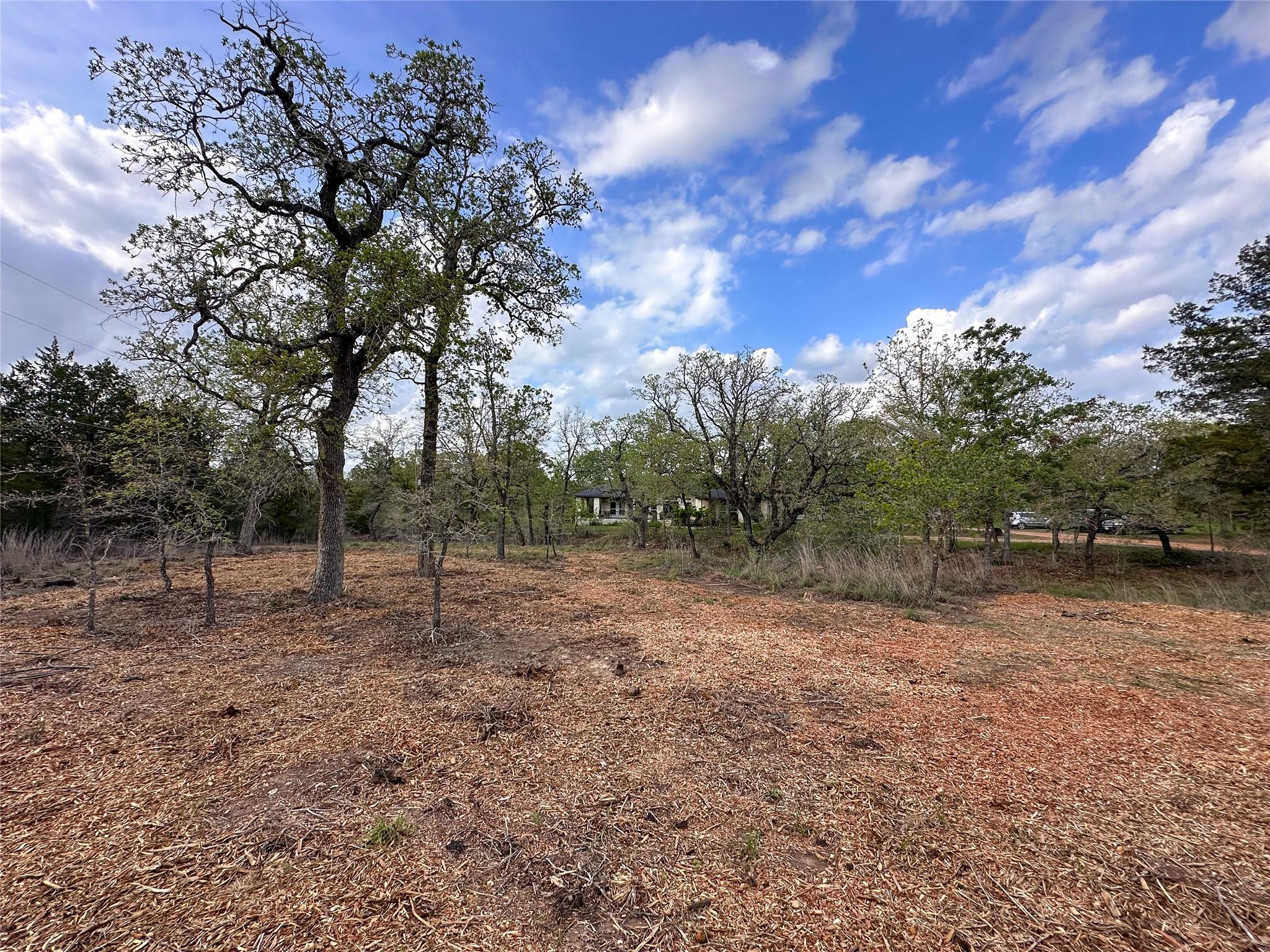 368 Woodlands Drive Bastrop TX 78602