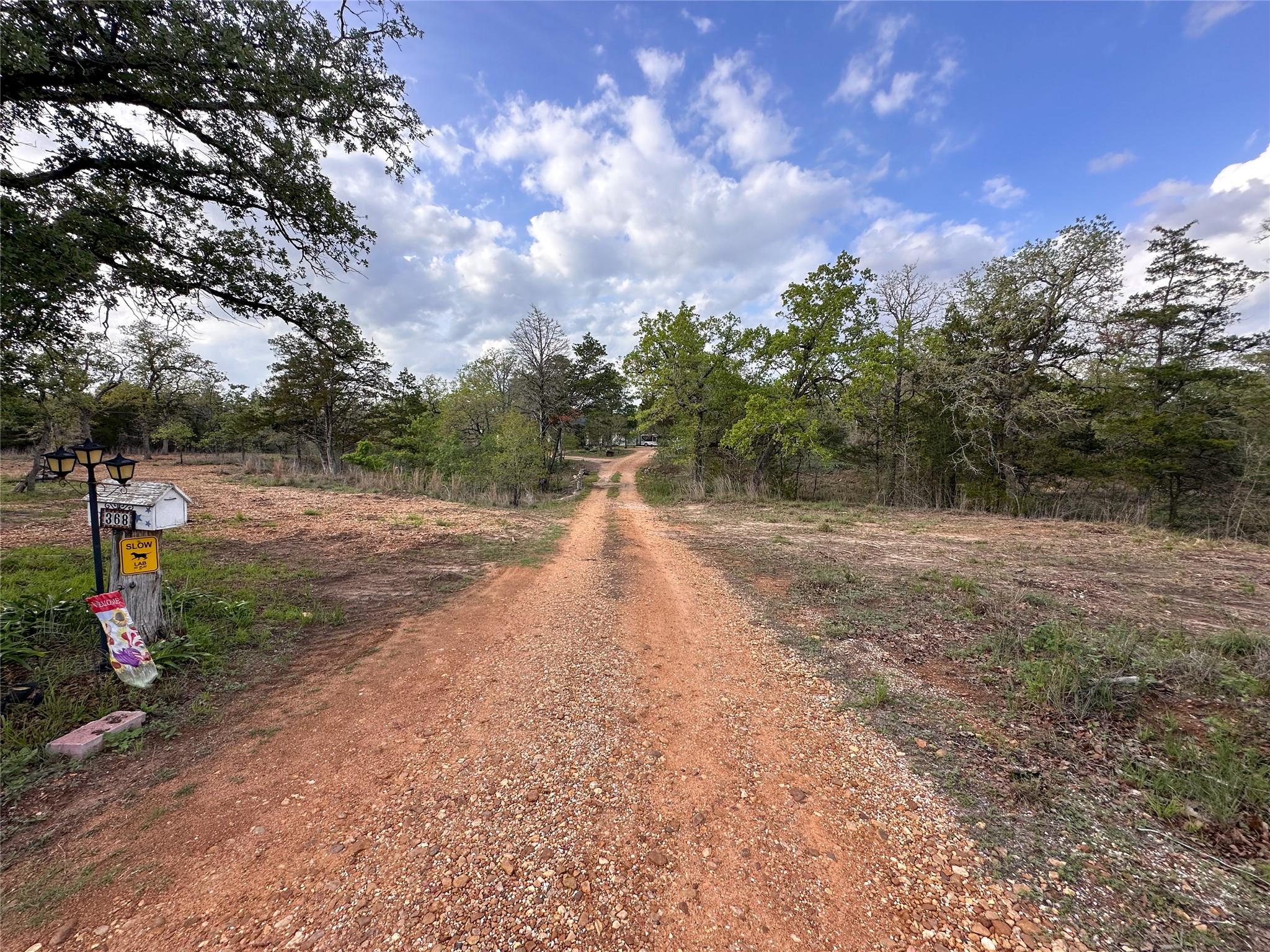 368 Woodlands Drive Bastrop TX 78602