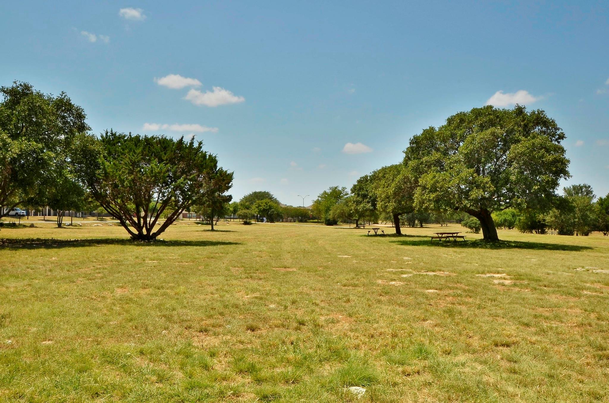 809 Stillhouse Spring Round Rock TX 78681