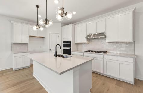 526 Rubber Tree Way Buda TX 78610
