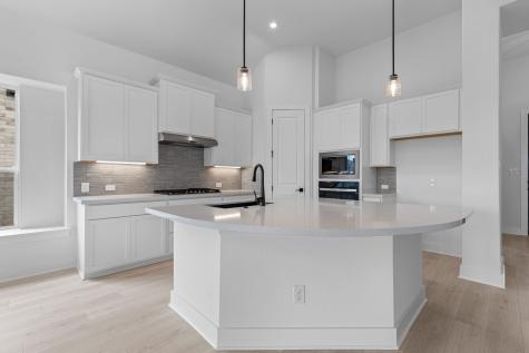 1409 Blue Moon Drive Georgetown TX 78628