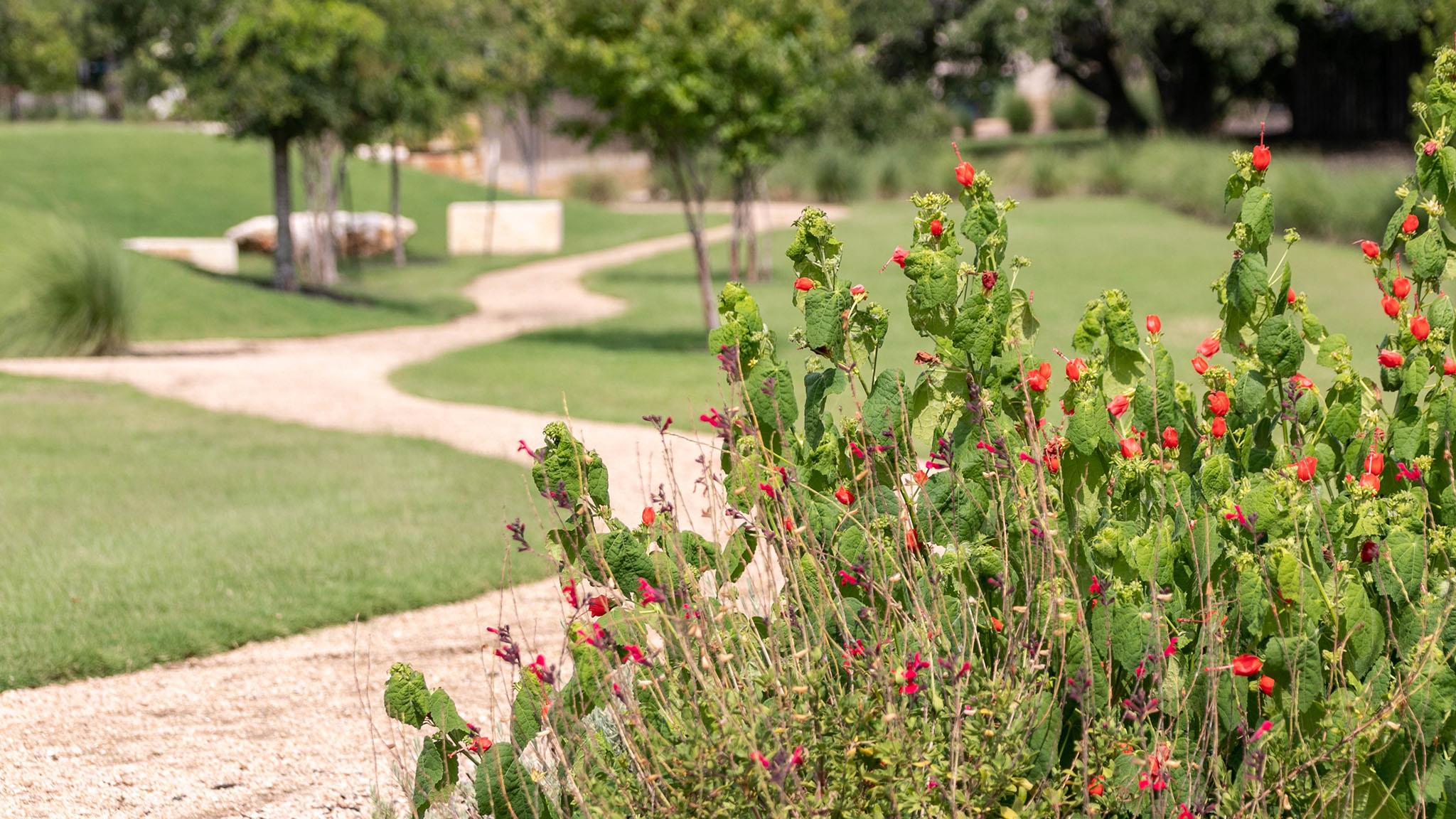1645 Hosanna Grande Way Leander TX 78641