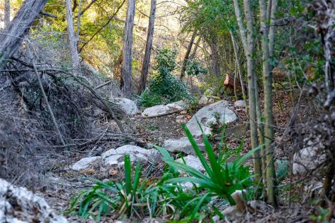 9201 Silver Pine Cove Austin TX 78733