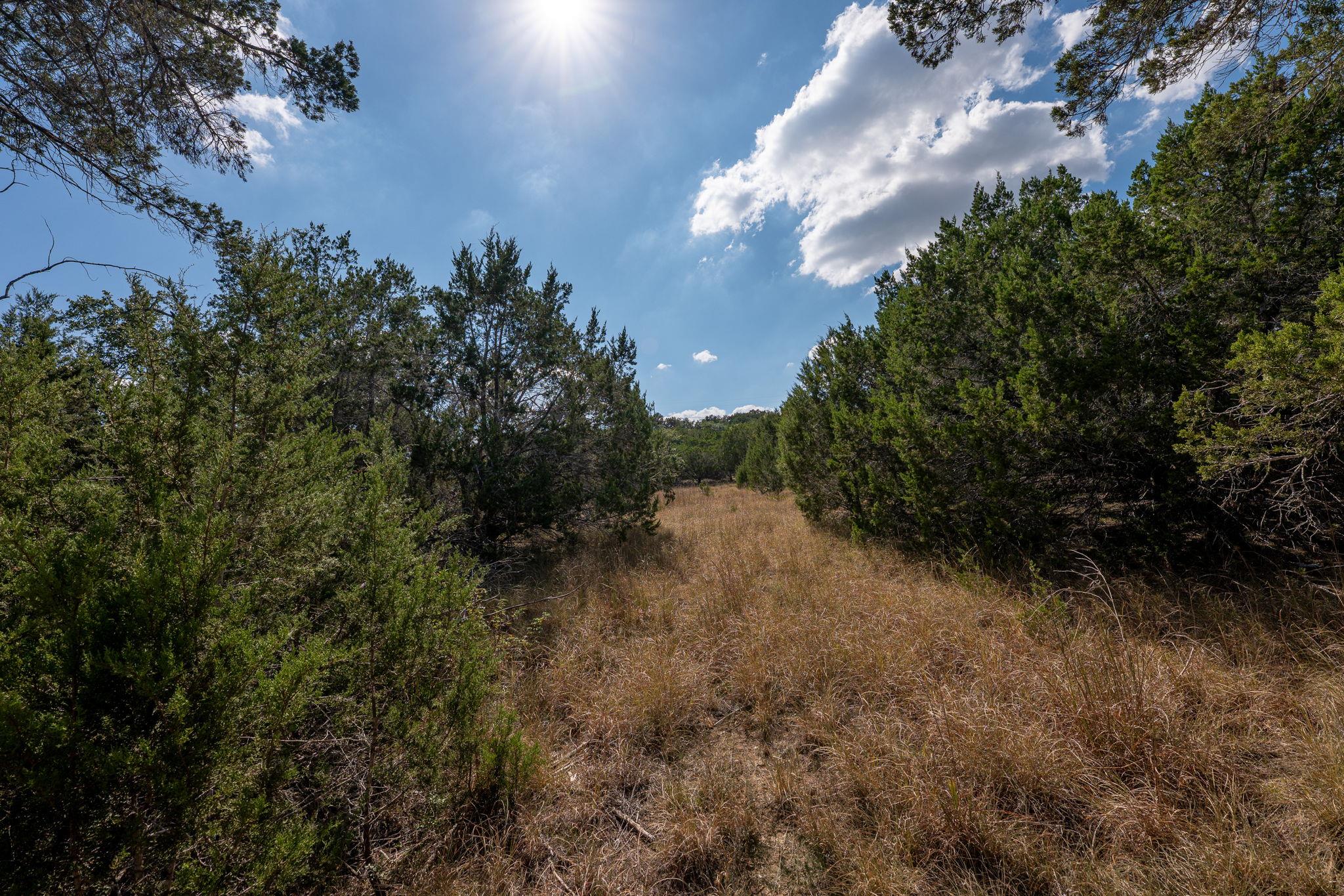 214 Midnight Sky Drive Austin TX 78737