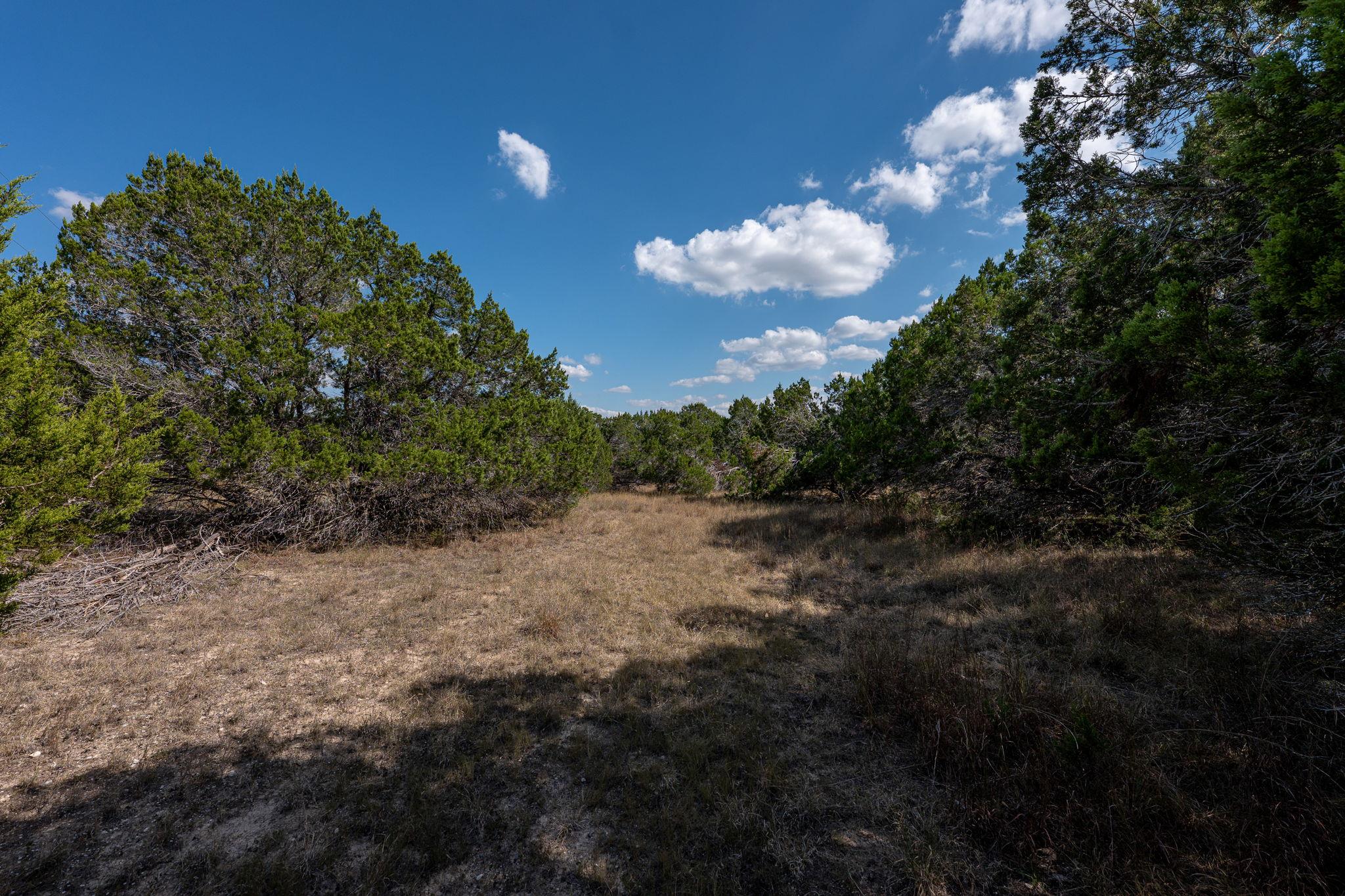 214 Midnight Sky Drive Austin TX 78737