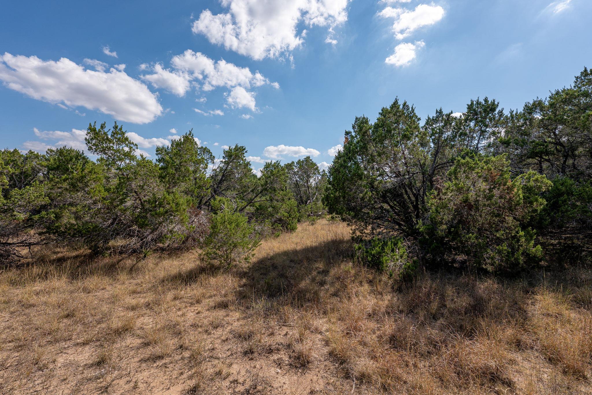 214 Midnight Sky Drive Austin TX 78737