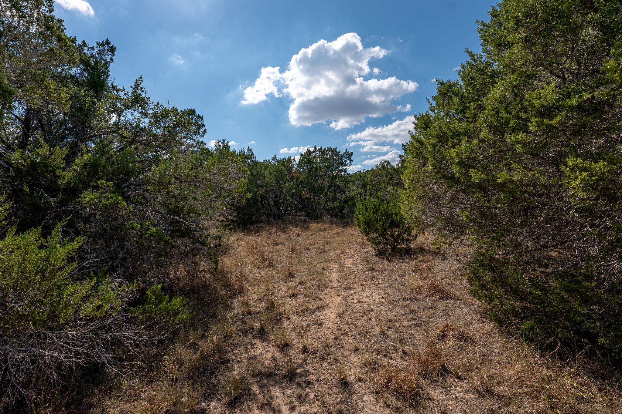 214 Midnight Sky Drive Austin TX 78737