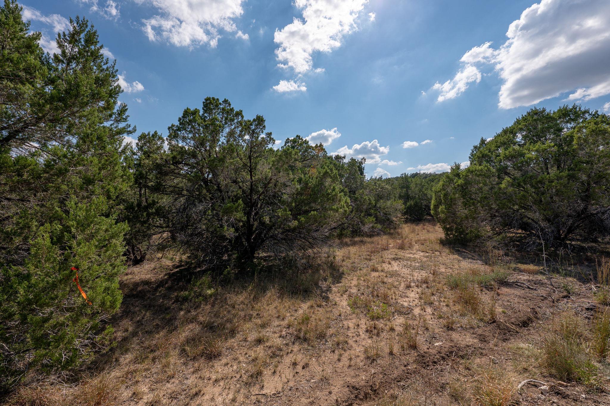 214 Midnight Sky Drive Austin TX 78737