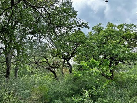 156 Clover Road Cedar Creek TX 78612
