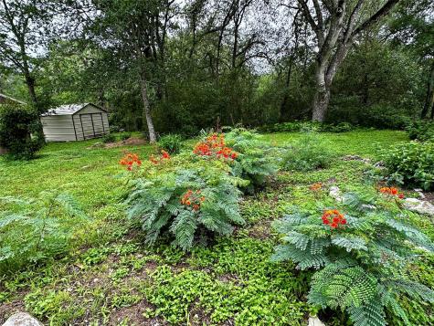 156 Clover Road Cedar Creek TX 78612