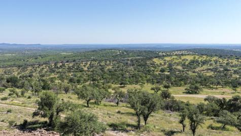 3531 Rm-3347 - Lot 16 Round Mountain TX 78663