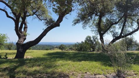 3531 Rm-3347 - Lot 16 Round Mountain TX 78663
