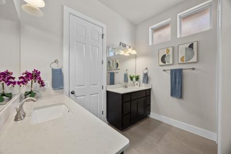 1004 Sue Ann Rose Drive Austin TX 78717