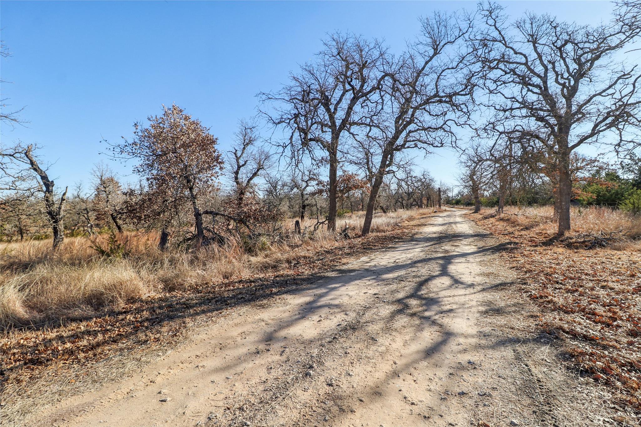 1217 Cherry Mountain Loop Fredericksburg TX 78624