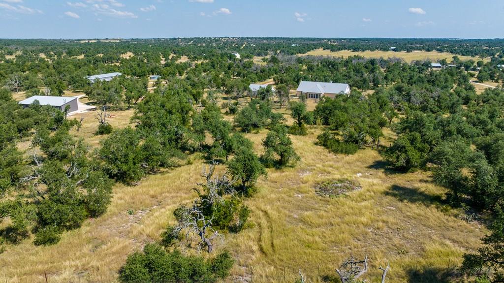 1282 Vintage Oaks Drive Doss TX 78618