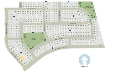 278 Texas Agate Drive Kyle TX 78640