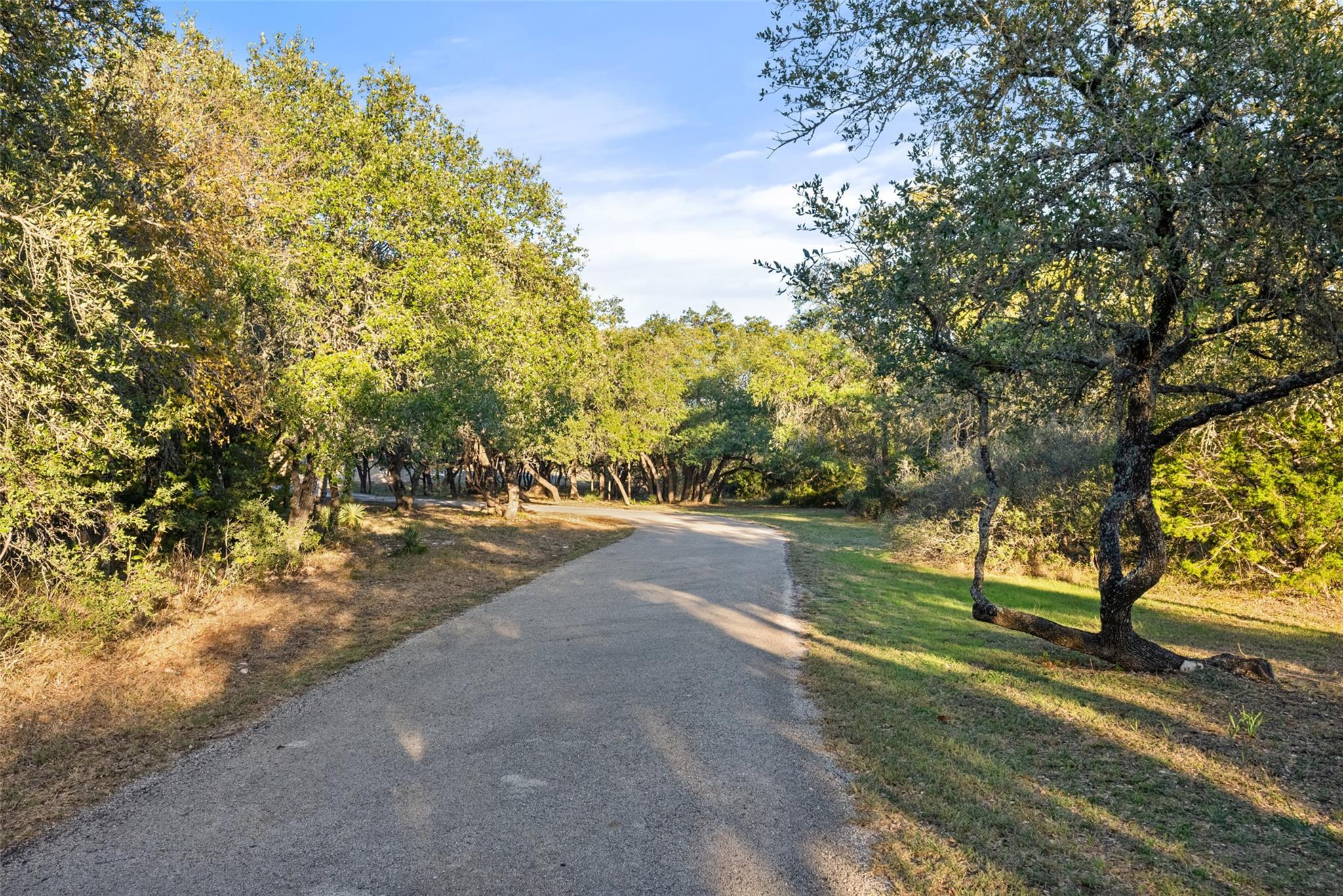 301 Crystal Meadows Drive Kyle TX 78640