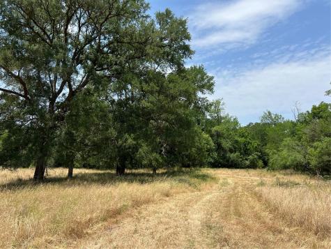124 Valley Creek Drive Cedar Creek TX 78612