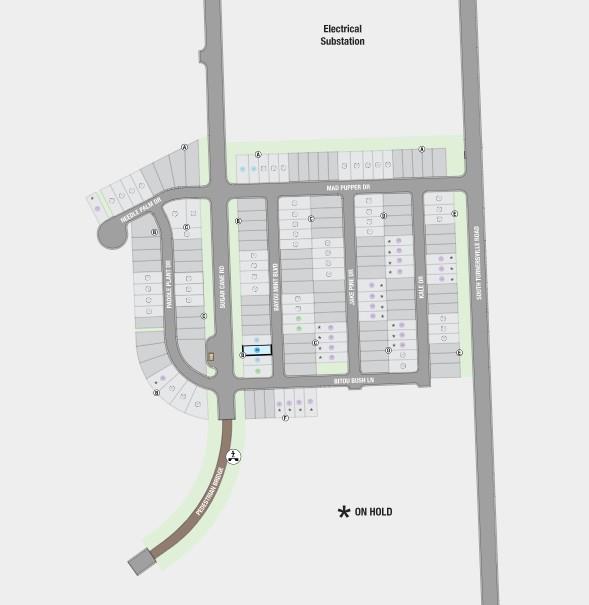 222 Bayou Mint Boulevard Buda TX 78610