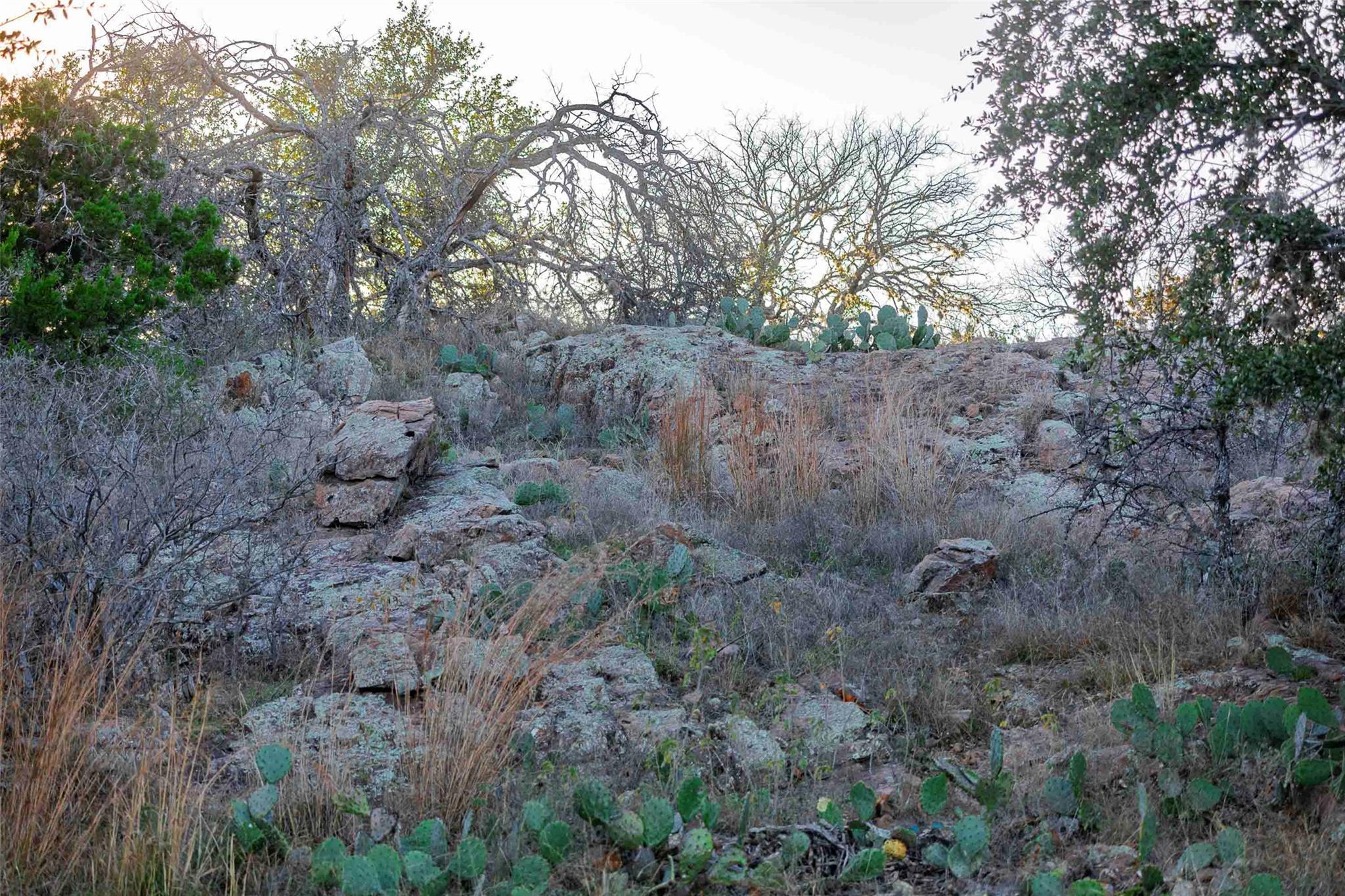185 Roadrunner Lane Burnet TX 78611