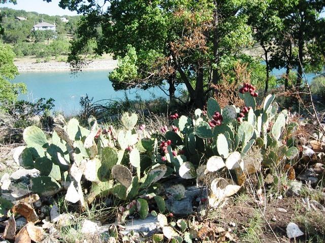 2552 Connie Drive Canyon Lake TX 78133