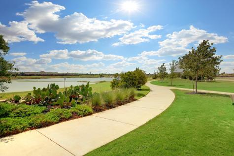 311 Flowering Senna Drive Buda TX 78610