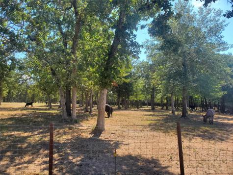 4319 County Road 455 Thorndale TX 76577
