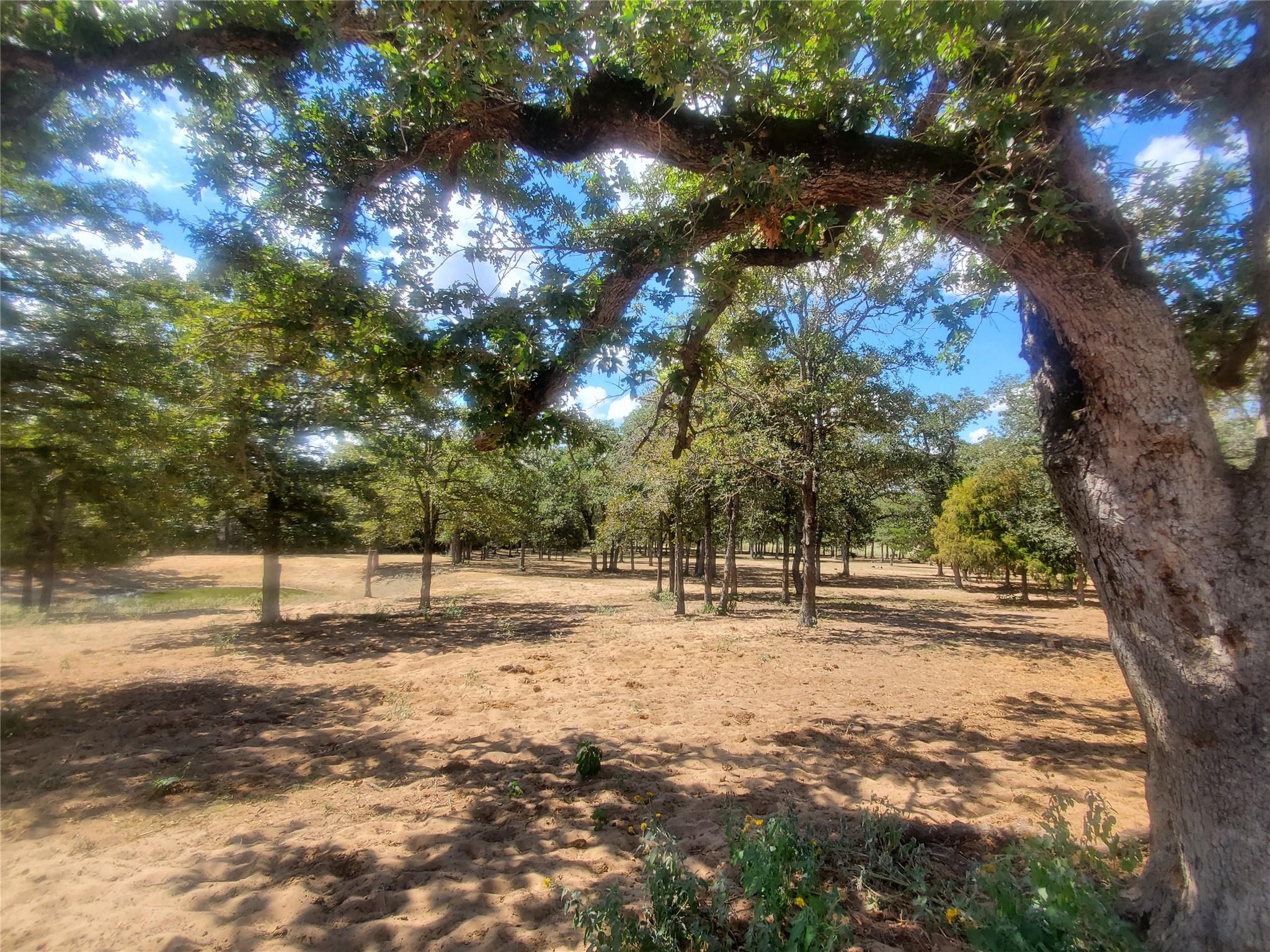 4319 County Road 455 Thorndale TX 76577
