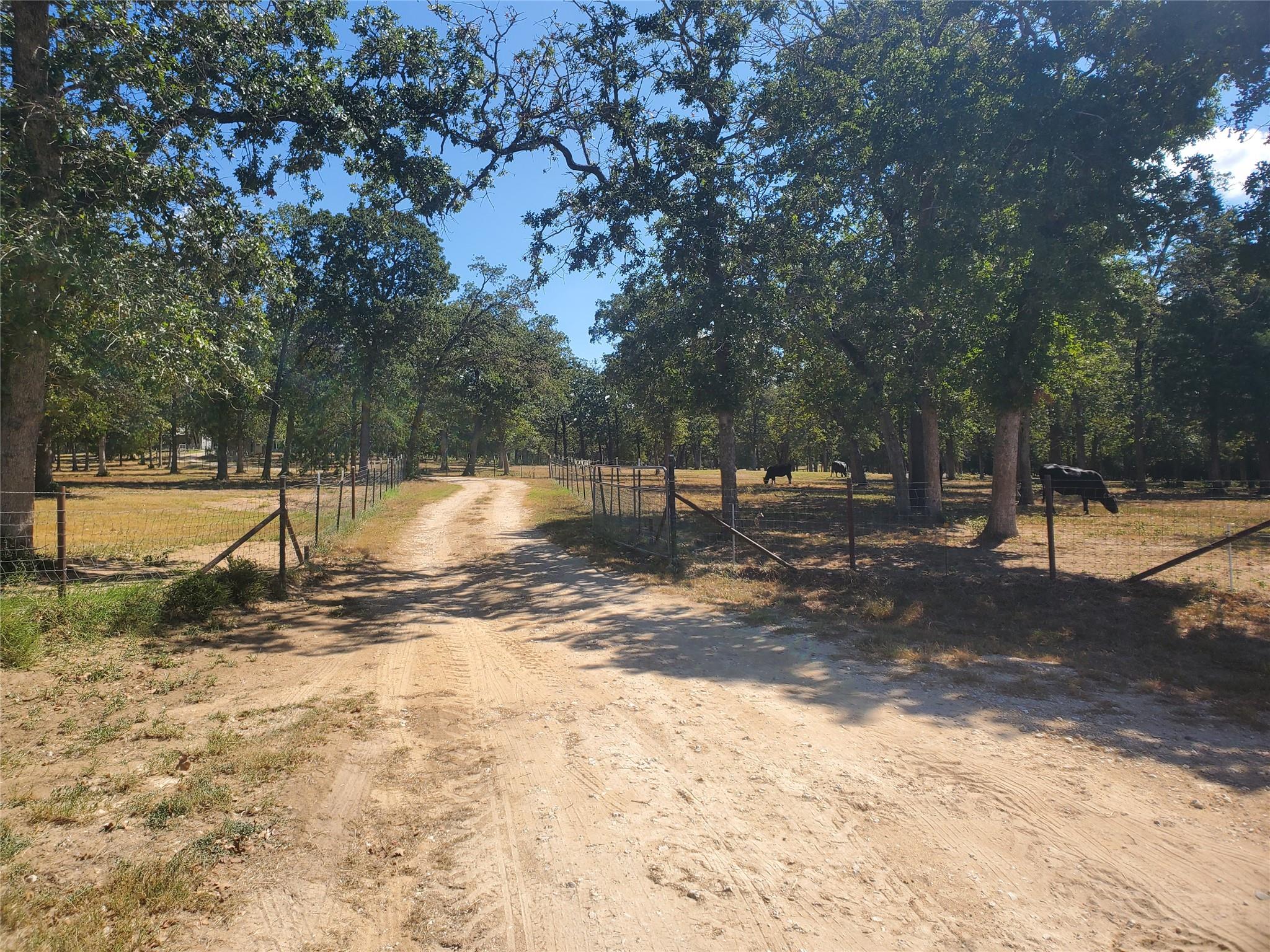 4319 County Road 455 Thorndale TX 76577