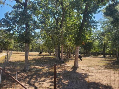 4319 County Road 455 Thorndale TX 76577