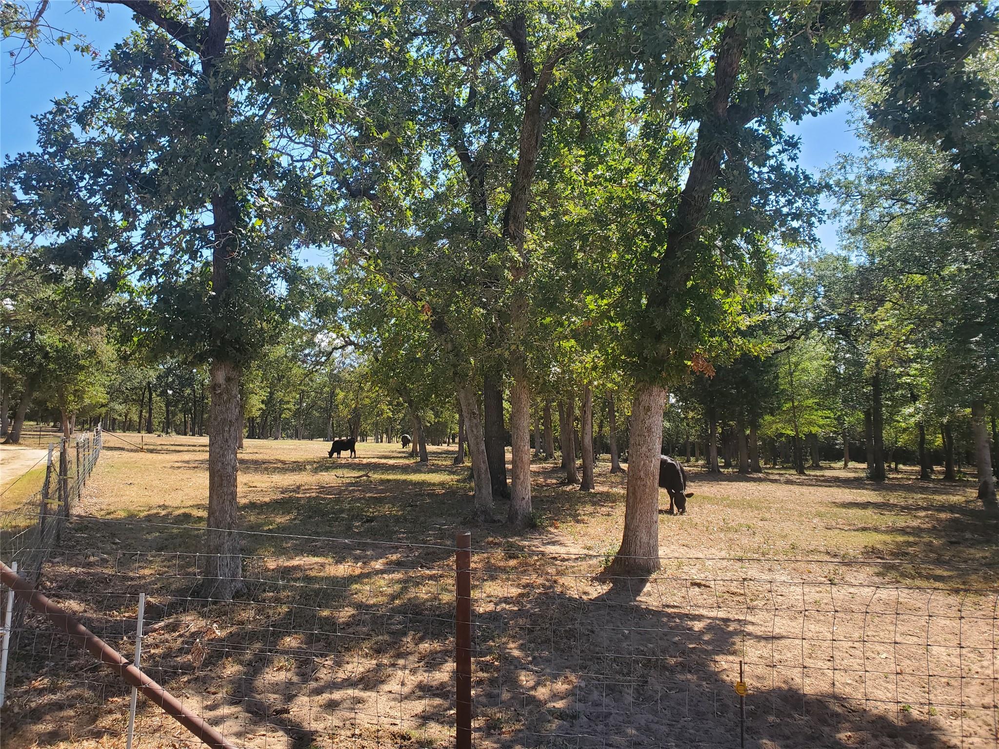 4319 County Road 455 Thorndale TX 76577